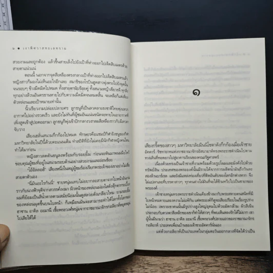 เงาพิศวาสทะเลทราย - ซ่อนกลิ่น รูปที่ 8