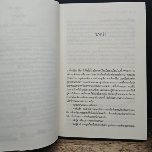 ซาบีย์ จอมใจจักรพรรดิ - ศิ'มนตรา รูปที่ 8