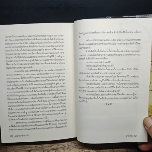 เสน่หามายาตะวัน - สายไหม รูปที่ 8