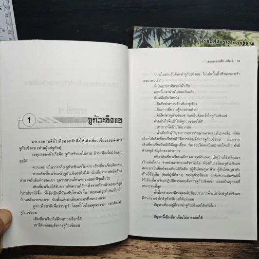 ทวนทะลวงศึก 2 เล่มจบ - อุนสุยอัน, น.นพรัตน์ รูปที่ 8