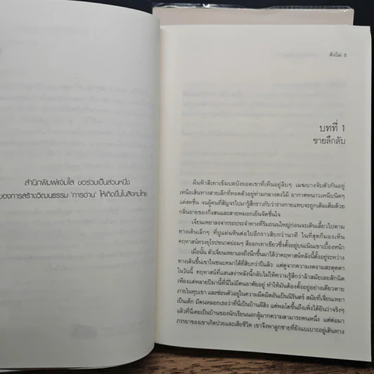 คดีร้ายสุภาพบุรุษอันตราย 2 เล่มจบ - ติงโม่ (Ding Mo), หยกชมพู รูปที่ 8