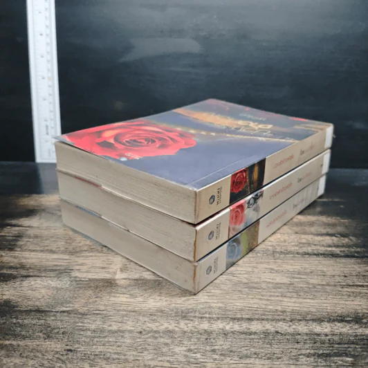 ชุด พลังแห่งรัก 3 เล่ม บ่วงรักจ้าวหัวใจ+อาญารักจ้าวหัวใจ+พลังจิตจ้าวหัวใจ - มณีจันท์ รูปที่ 5
