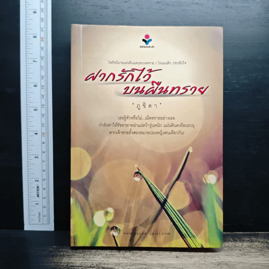 ฝากรักไว้บนผืนทราย - ภูชิดา รูปที่ 1