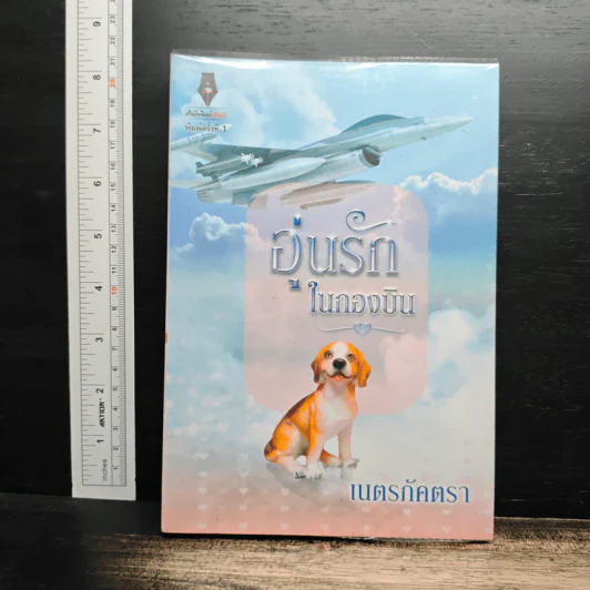 อุ่นรักในกองบิน - เนตรภัคตรา รูปที่ 1