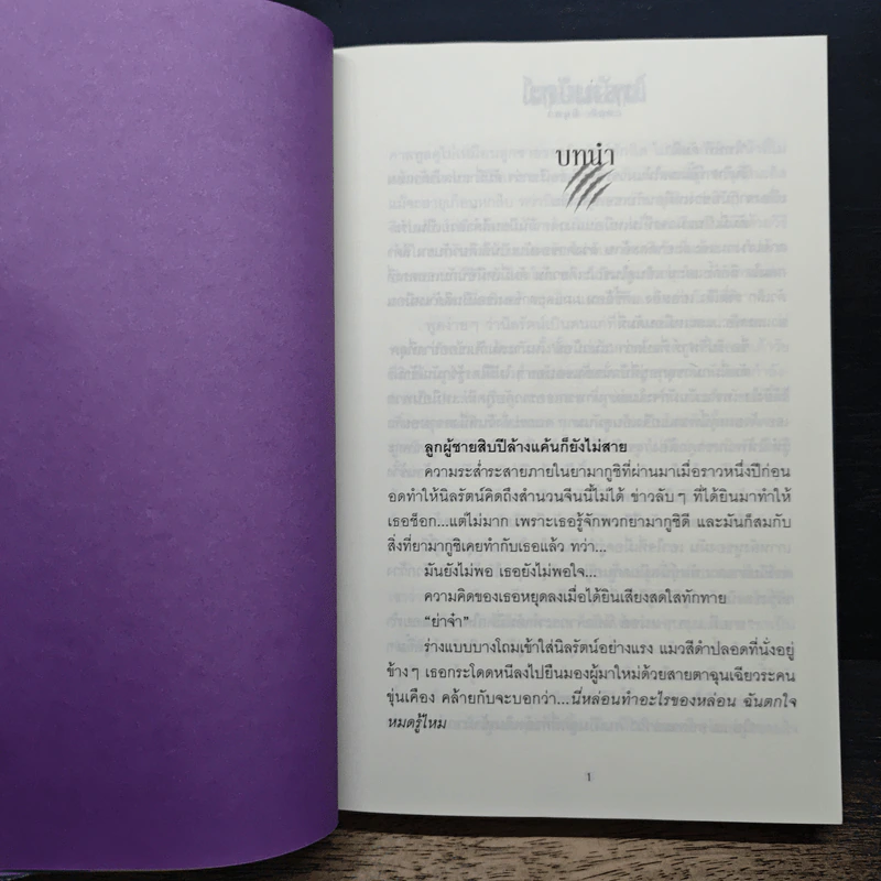 กรงพยัคฆ์ - มิถุนา รูปที่ 6