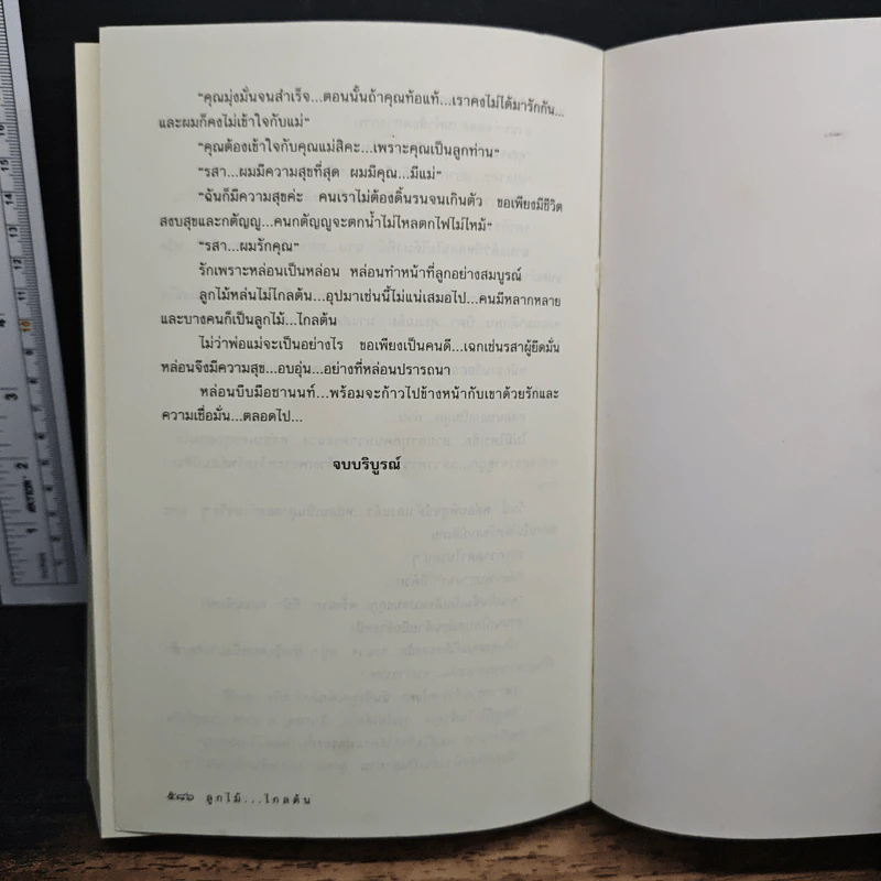 ลูกไม้...ไกลต้น - โสภี พรรณราย รูปที่ 8