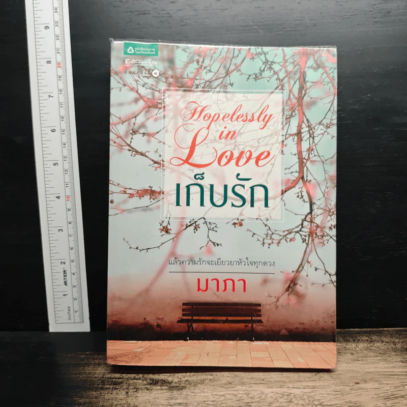 Hopelessly in love เก็บรัก - มาภา รูปที่ 1