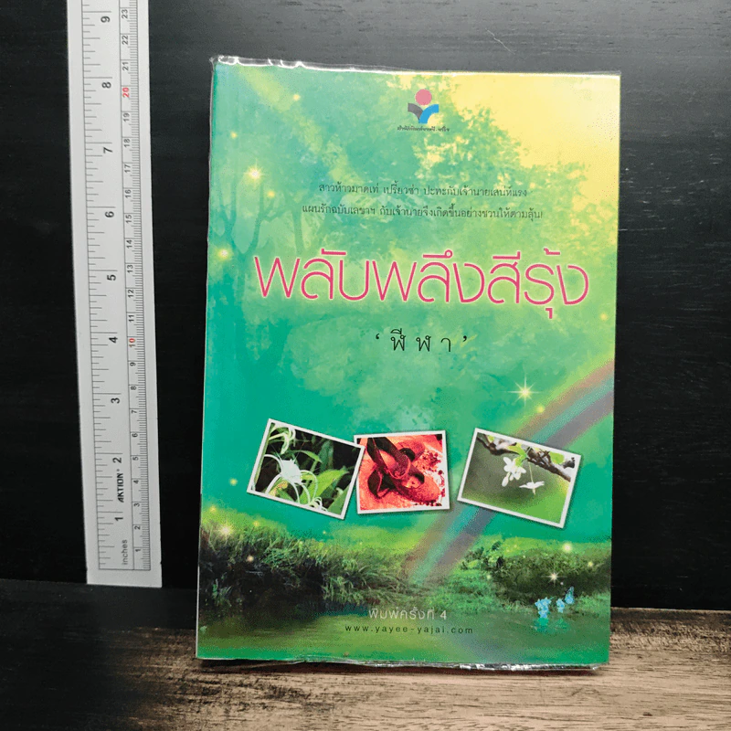 พลับพลึงสีรุ้ง - ฬีฬา รูปที่ 1