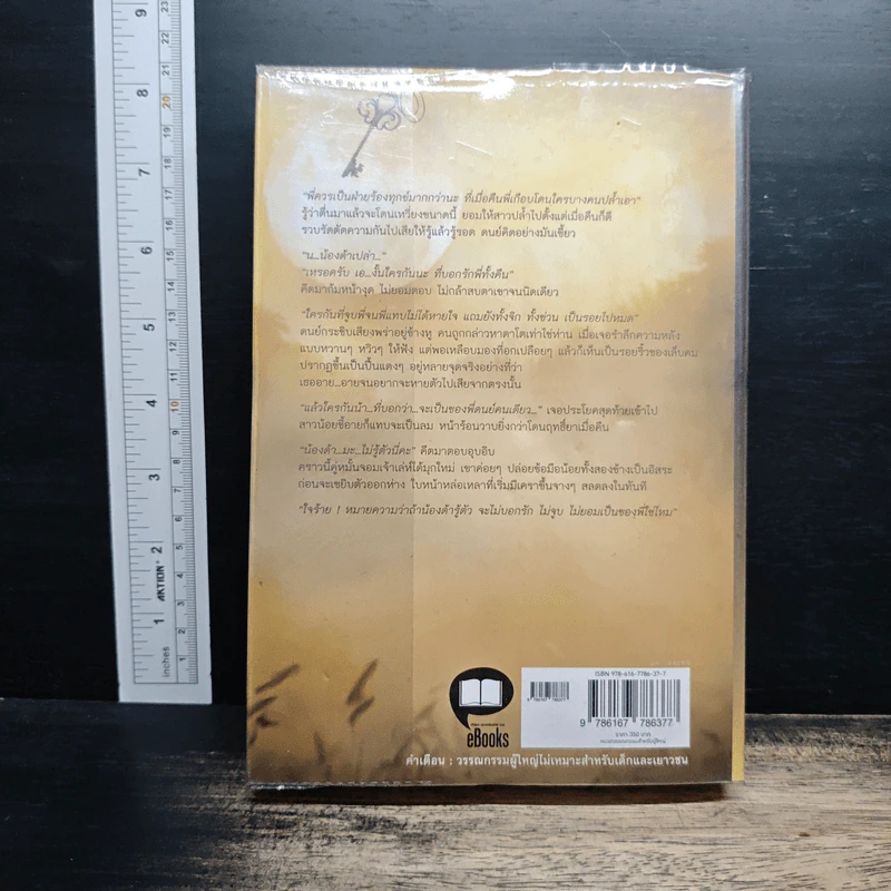เพลงหัวใจในมนต์จันทร์ - Clair de Lune รูปที่ 2