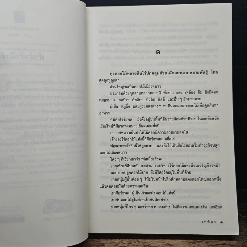 ดอกไม้ของซาตาน - เทพิตา รูปที่ 7