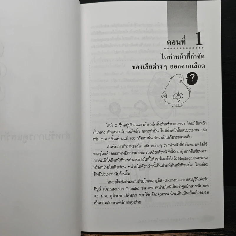 การดูแลผู้ป่วยโรคไต และความรู้ทางโภชนาการสำหรับผู้ป่วยโรคไต - พนิดา กุลประสูติดิลก รูปที่ 9