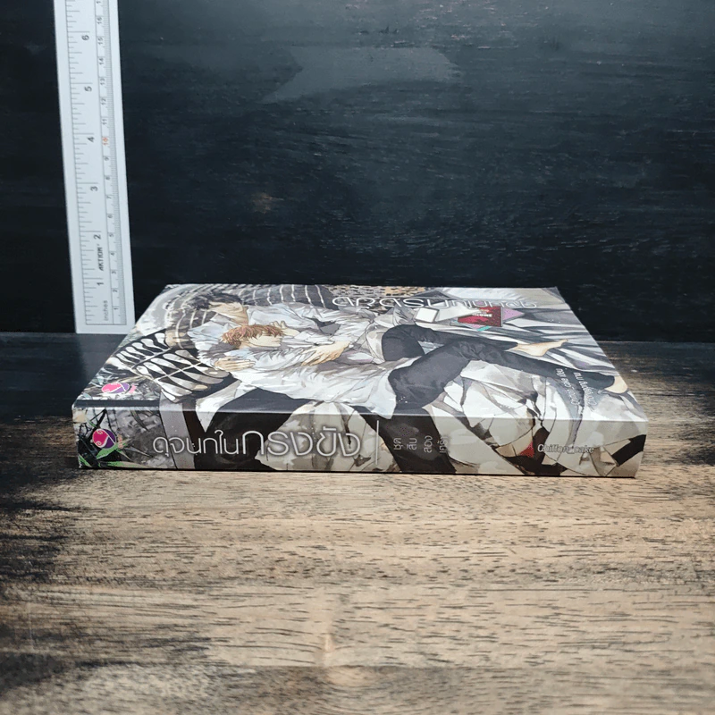 นิยายวาย ดุจนกในกรงขัง ชุดสิบสองเศร้า - Chiffon_cake รูปที่ 3