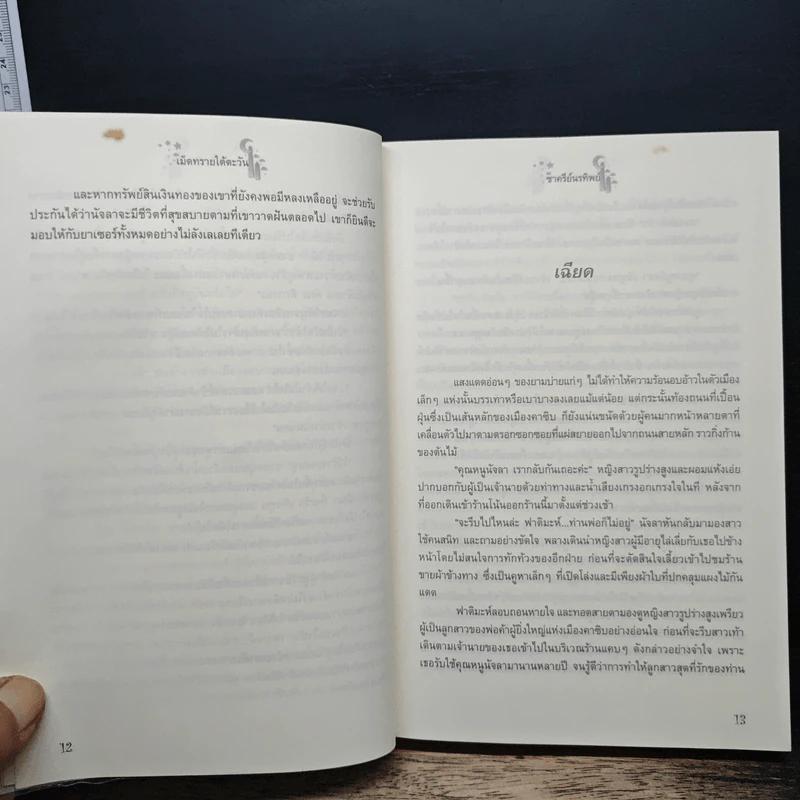เม็ดทรายใต้ตะวัน - ชาครีย์นรทิพย์ รูปที่ 8