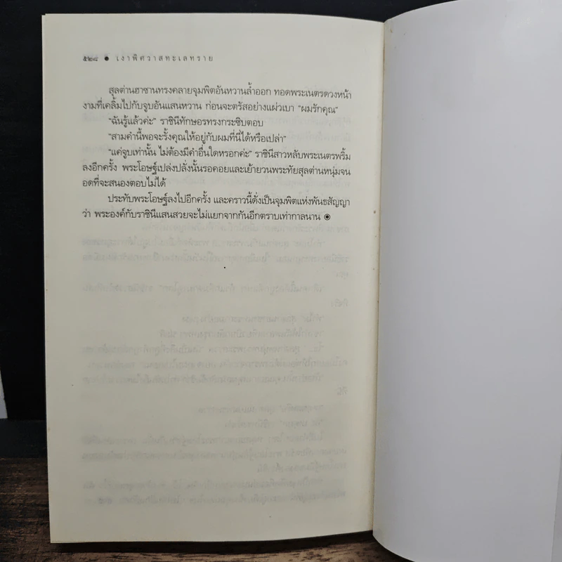 เงาพิศวาสทะเลทราย - ซ่อนกลิ่น รูปที่ 9