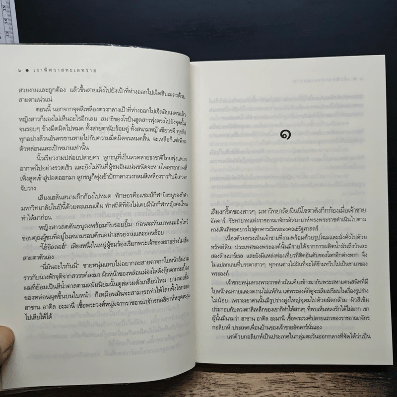 เงาพิศวาสทะเลทราย - ซ่อนกลิ่น รูปที่ 8