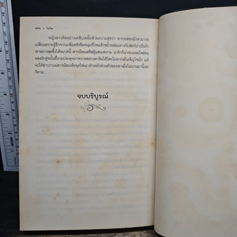 ดวงใจเจ้าทะเลทราย - ไอริณ รูปที่ 7
