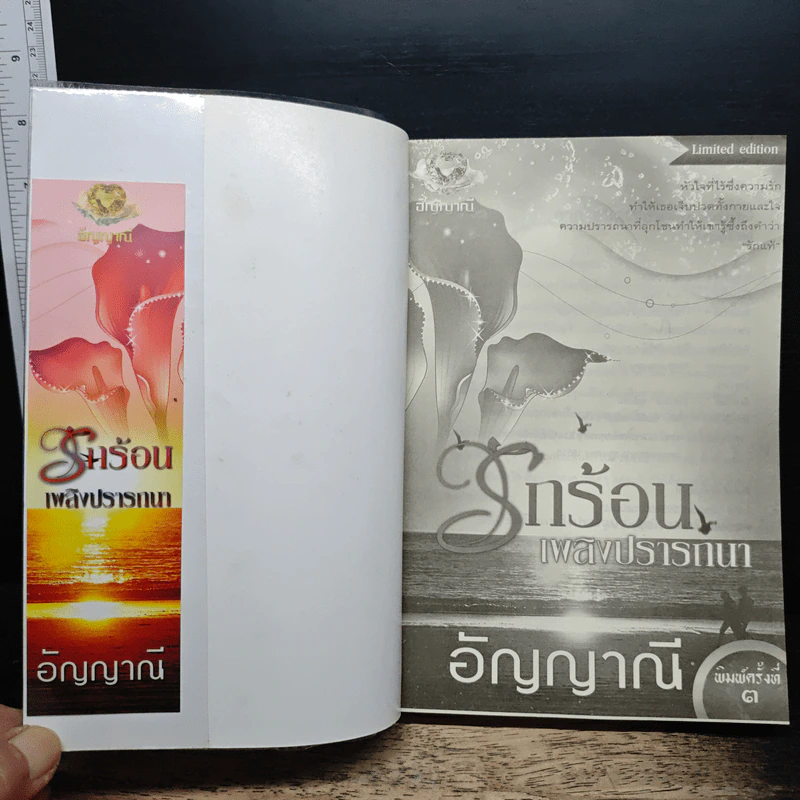 รักร้อนเพลิงปรารถนา - อัญญาณี รูปที่ 6