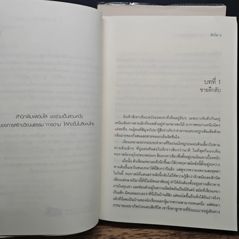 คดีร้ายสุภาพบุรุษอันตราย 2 เล่มจบ - ติงโม่ (Ding Mo), หยกชมพู รูปที่ 8