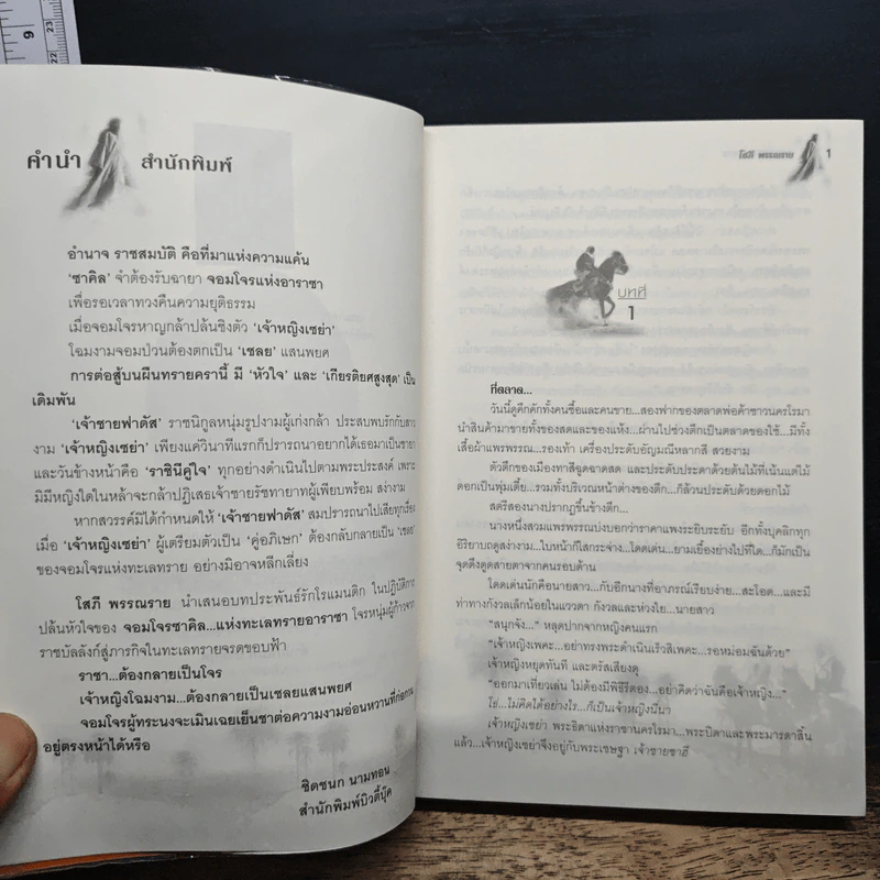 จอมโจรทะเลทราย - โสภี พรรณราย รูปที่ 7
