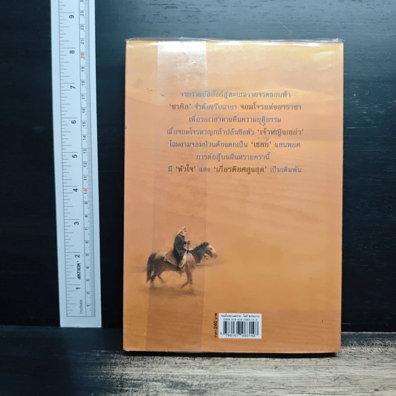 จอมโจรทะเลทราย - โสภี พรรณราย รูปที่ 2