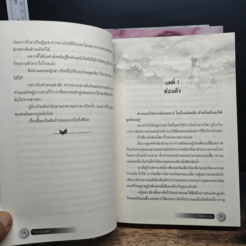 นิยายชุดพรหมลิขิตรัก ภาควาสนาพานพบ 3 เล่มจบ - เฉียนลู่, ห้องสมุด รูปที่ 9