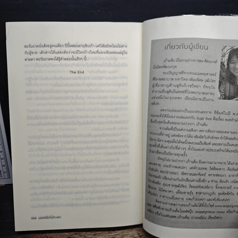 มนตร์รักไม้ตะพด - เก้าแต้ม รูปที่ 10