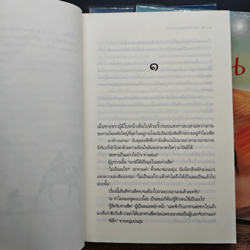 นิยายชุดแดนเถื่อน องครักษ์แดนเถื่อน + ราชันแดนเถื่อน + จอมโจรแดนเถื่อน - ซ่อนกลิ่น รูปที่ 7