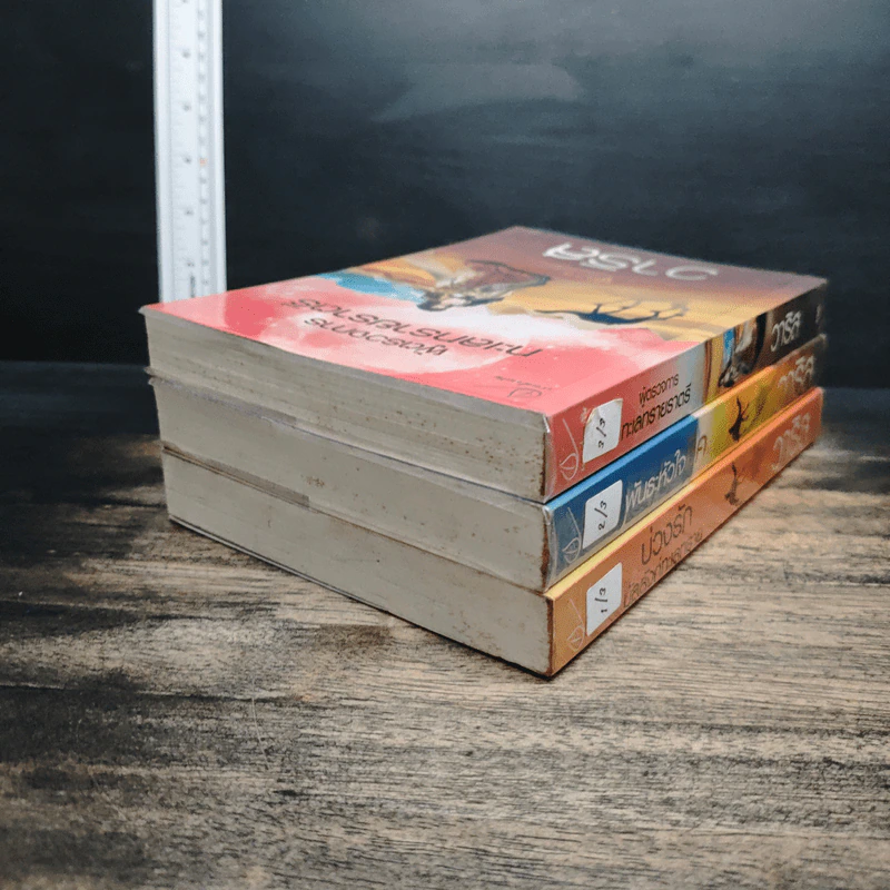 ชุด วาริส 3 เล่ม บ่วงรักบัลลังก์ทะเลทราย+พันธะหัวใจชีค+ผู้ตรวจการทะเลทรายราตรี - วาริส รูปที่ 5
