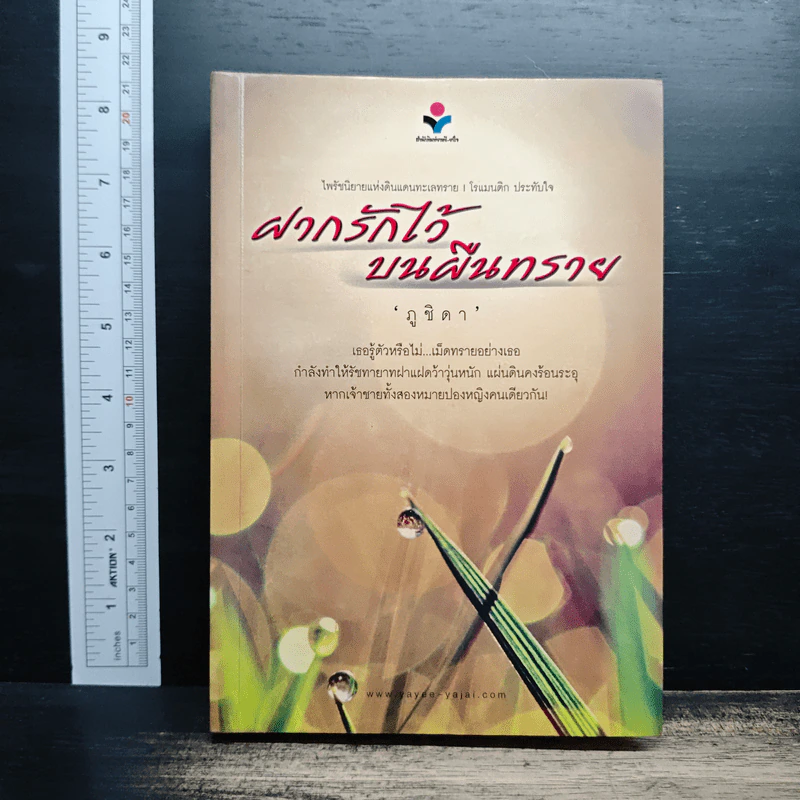 ฝากรักไว้บนผืนทราย - ภูชิดา รูปที่ 1