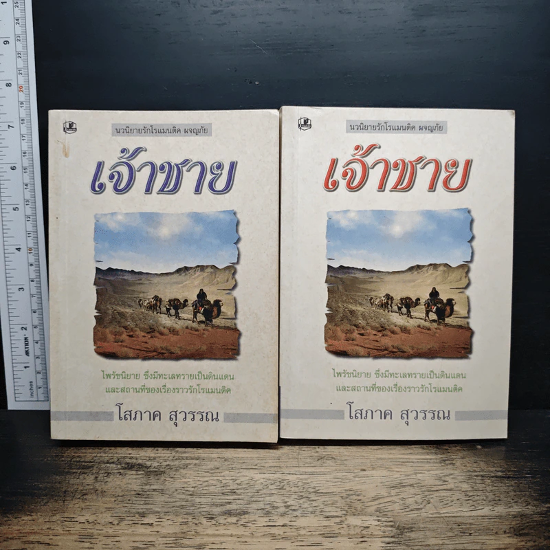 เจ้าชาย 2 เล่มจบ - โสภาค สุวรรณ รูปที่ 1