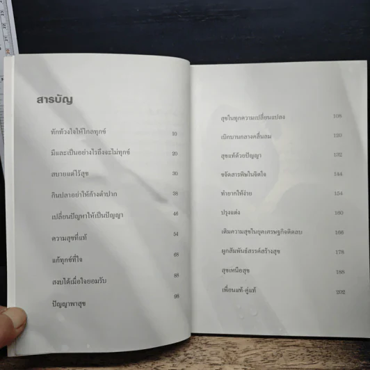 สุขทุกลมหายใจ - พระไพศาล วิสาโล รูปที่ 7