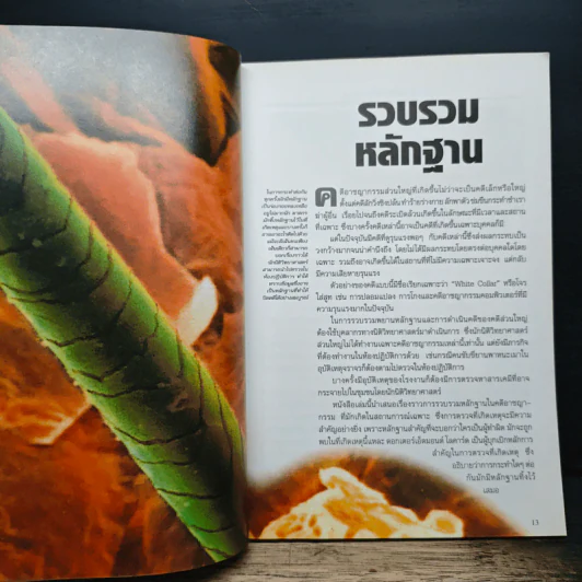 ศพช่วยสืบ รวมคดีฆาตกรรมก้องโลก ภาคแรก - พ.ญ.คุณหญิงพรทิพย์ โรจนสุนันท์ รูปที่ 8