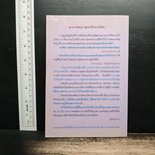 พุทธวิธีคลายโศก รูปที่ 2