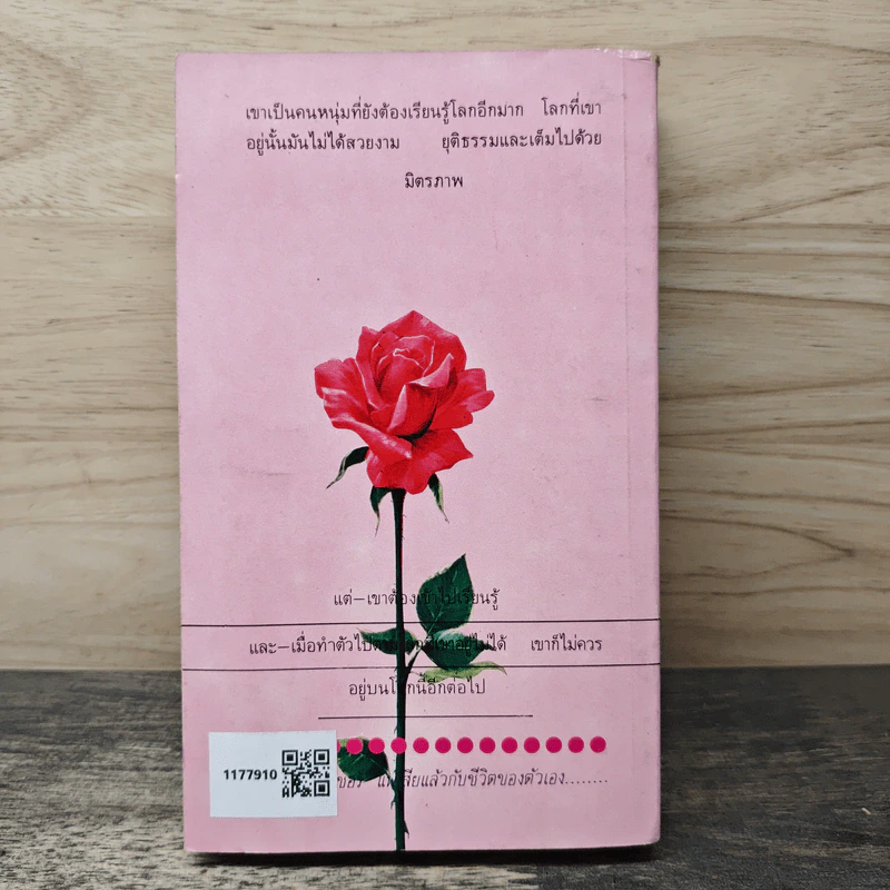 แดนนี่ ฟิชเชอร์ - ฮาโรลด์ รอบบินส์ รูปที่ 5