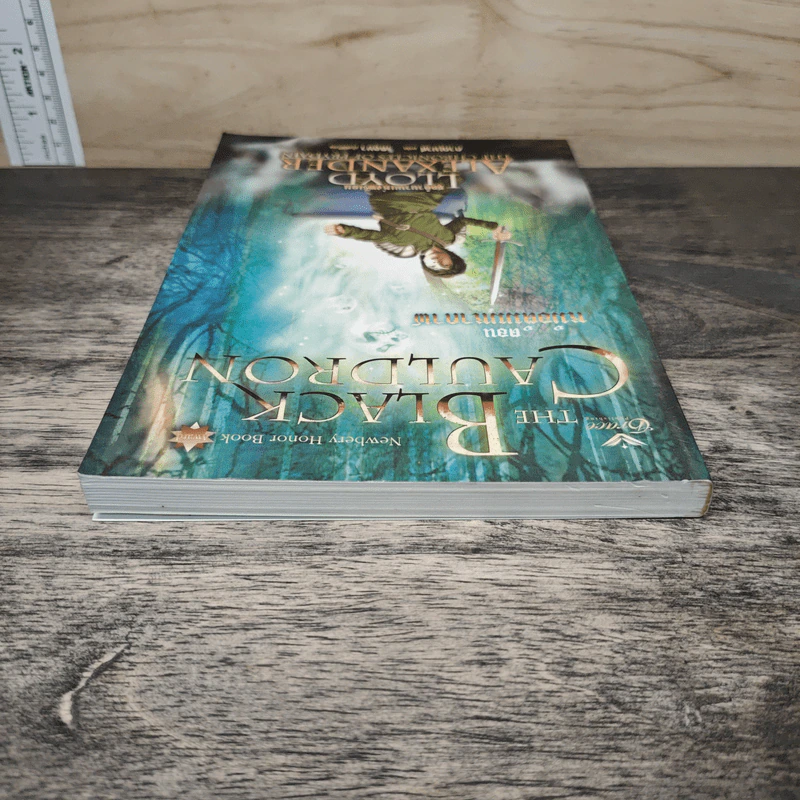 ตำนานแห่งพรีเดน เล่ม 2 ตอน หม้อต้มมหากาฬ The Black Cauldron - ลอยด์ อเล็กซานเดอร์, จิตอุษา รูปที่ 4
