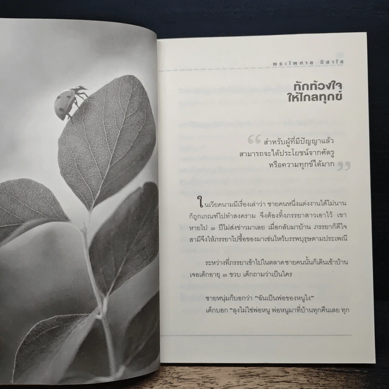 สุขทุกลมหายใจ - พระไพศาล วิสาโล รูปที่ 8