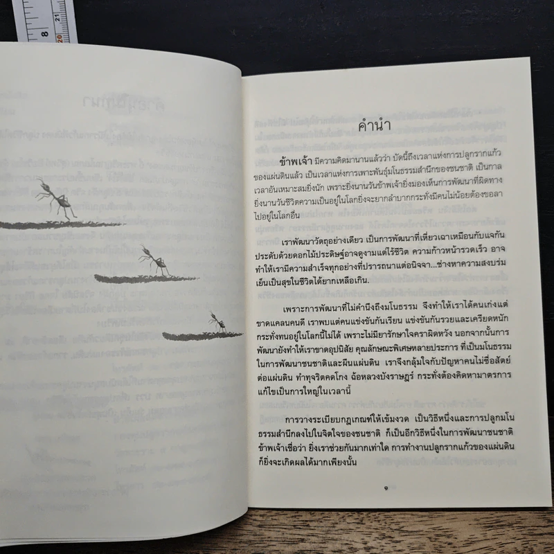 ปรัชญา...มดแดง - ปิยโสภณ รูปที่ 7