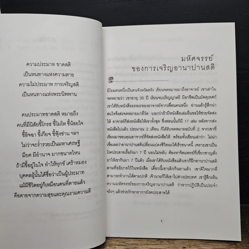 สติเป็นธรรมเอก - พระอาจารย์มิตซูโอะ คเวสโก รูปที่ 8