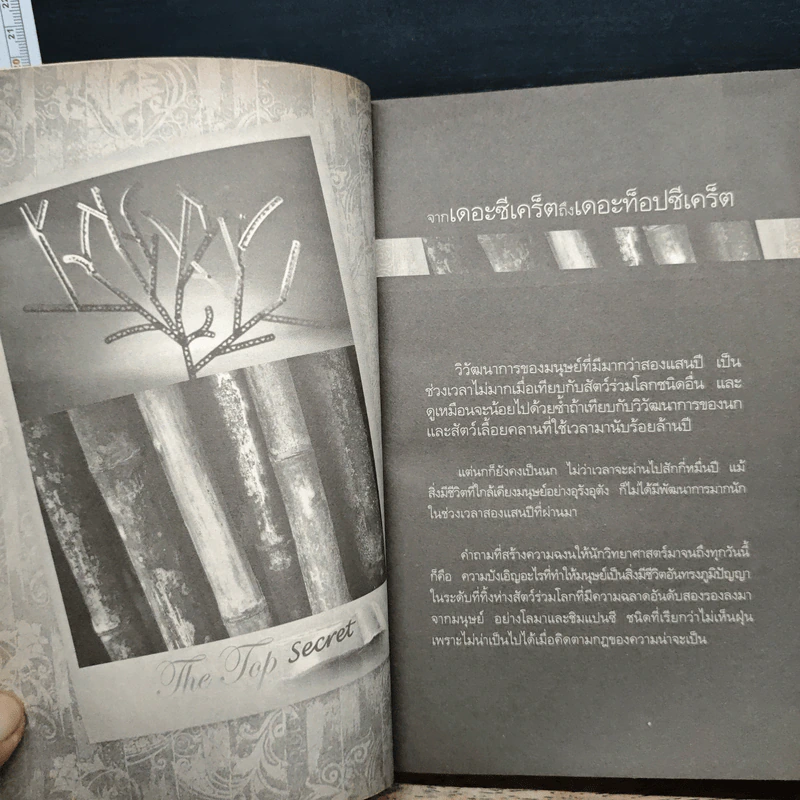 The Top Secret เดอะท็อปซีเคร็ต - ทันตแพทย์สม สุจีรา รูปที่ 8
