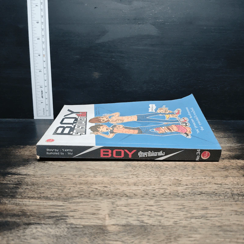 Boy รักเราไม่เอาติ่ง - ว.แหวน รูปที่ 3
