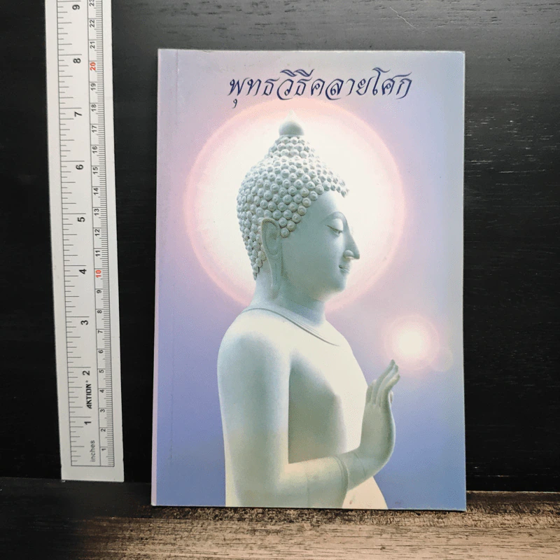 พุทธวิธีคลายโศก รูปที่ 1