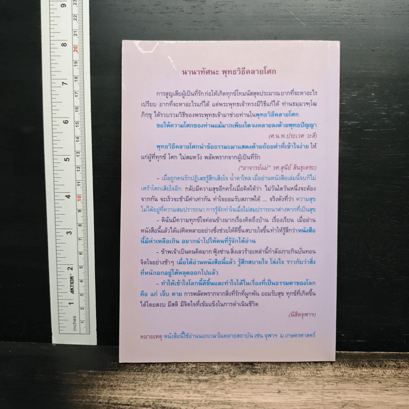 พุทธวิธีคลายโศก รูปที่ 2