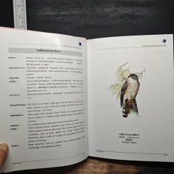 นกในป่าสะแกราช Birds of Sakaerat - สถาบันวิจัยวิทยาศาสตร์และเทคโนโลยีแห่งประเทศไทย รูปที่ 11