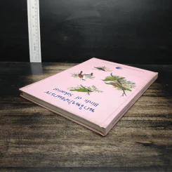 นกในป่าสะแกราช Birds of Sakaerat - สถาบันวิจัยวิทยาศาสตร์และเทคโนโลยีแห่งประเทศไทย รูปที่ 5