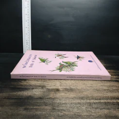 นกในป่าสะแกราช Birds of Sakaerat - สถาบันวิจัยวิทยาศาสตร์และเทคโนโลยีแห่งประเทศไทย รูปที่ 3