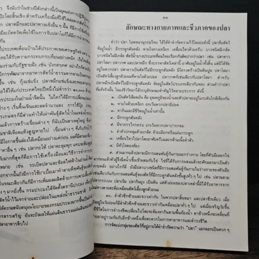 ภาพปลาและสัตว์น้ำของไทย - กรมประมง กระทรวงเกษตรและสหกรณ์ รูปที่ 9