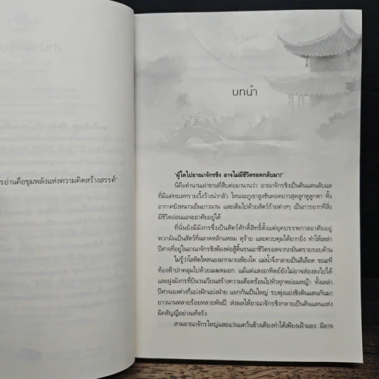 จอมใจเจ้าอสูร - โนเนโกะ รูปที่ 7