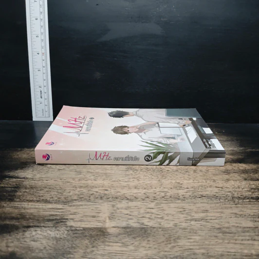 MHz, ความถี่หัวใจ เล่ม 2 - Swanlee รูปที่ 3
