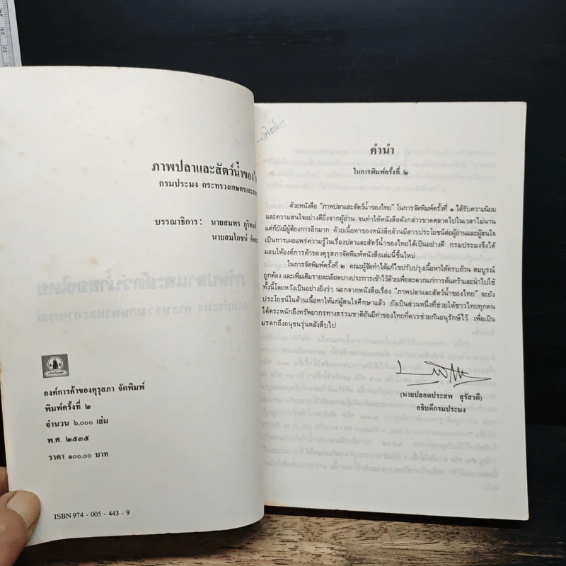 ภาพปลาและสัตว์น้ำของไทย - กรมประมง กระทรวงเกษตรและสหกรณ์ รูปที่ 6