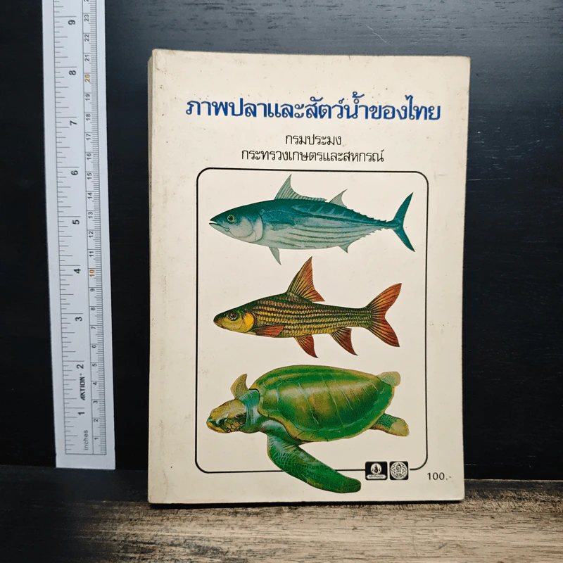 ภาพปลาและสัตว์น้ำของไทย - กรมประมง กระทรวงเกษตรและสหกรณ์ รูปที่ 1